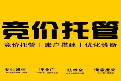 百度竞价广告的投放策略与成功案例分析